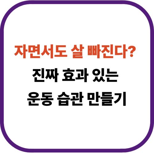 자면서도 살 빠진다? 진짜 효과 있는 운동 습관 만들기
