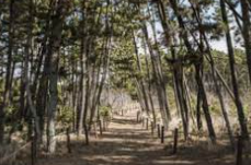 태안해안 국립공원 실시간 cctv