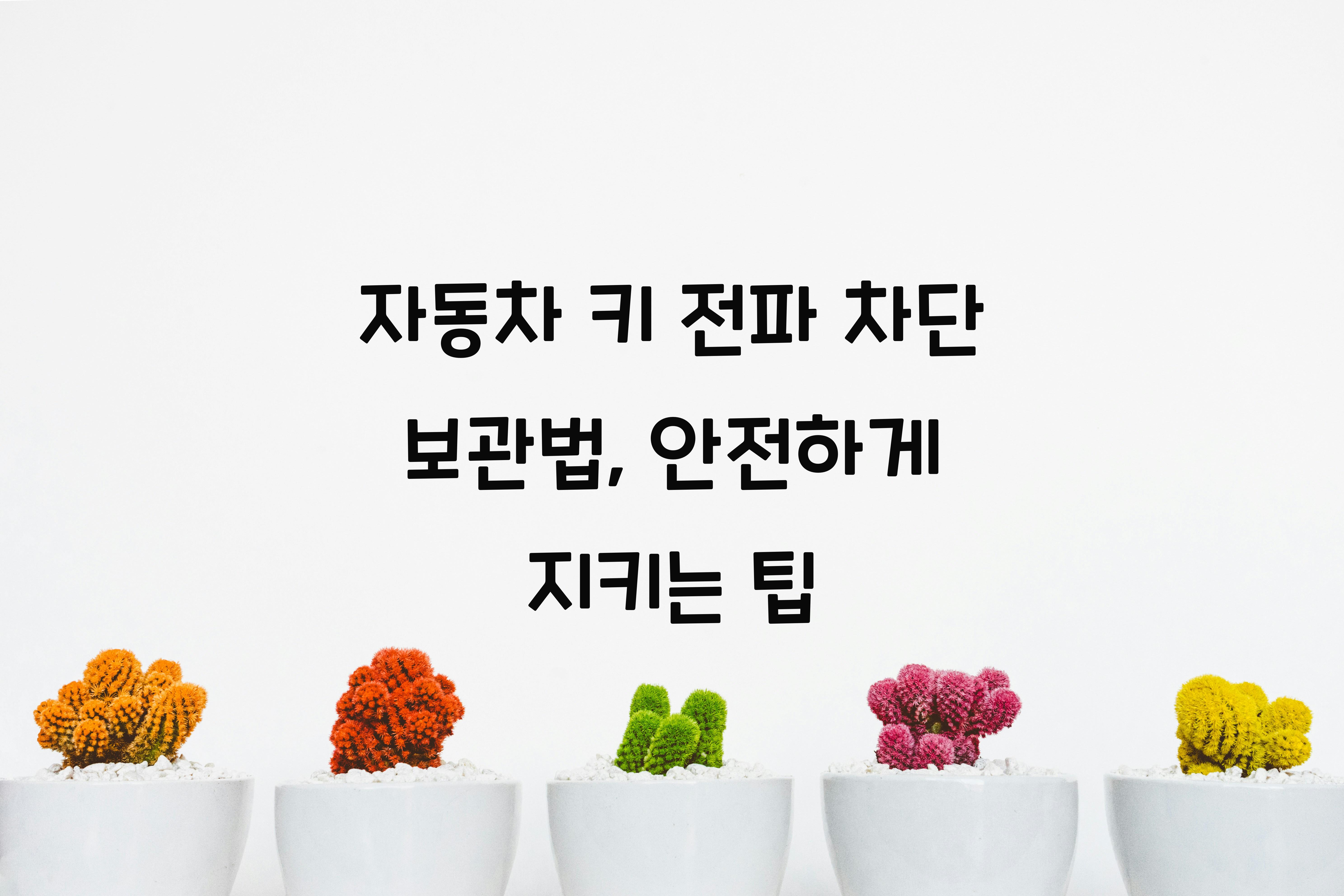 자동차 키 전파 차단 보관법