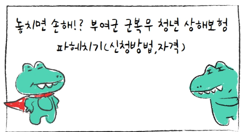 놓치면 손해!? 부여군 군복무 청년 상해보험 파헤치기(신청방법,자격)