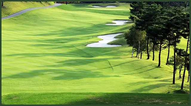 파크골프 공 4피스, 3피스, 2피스 차이점은?