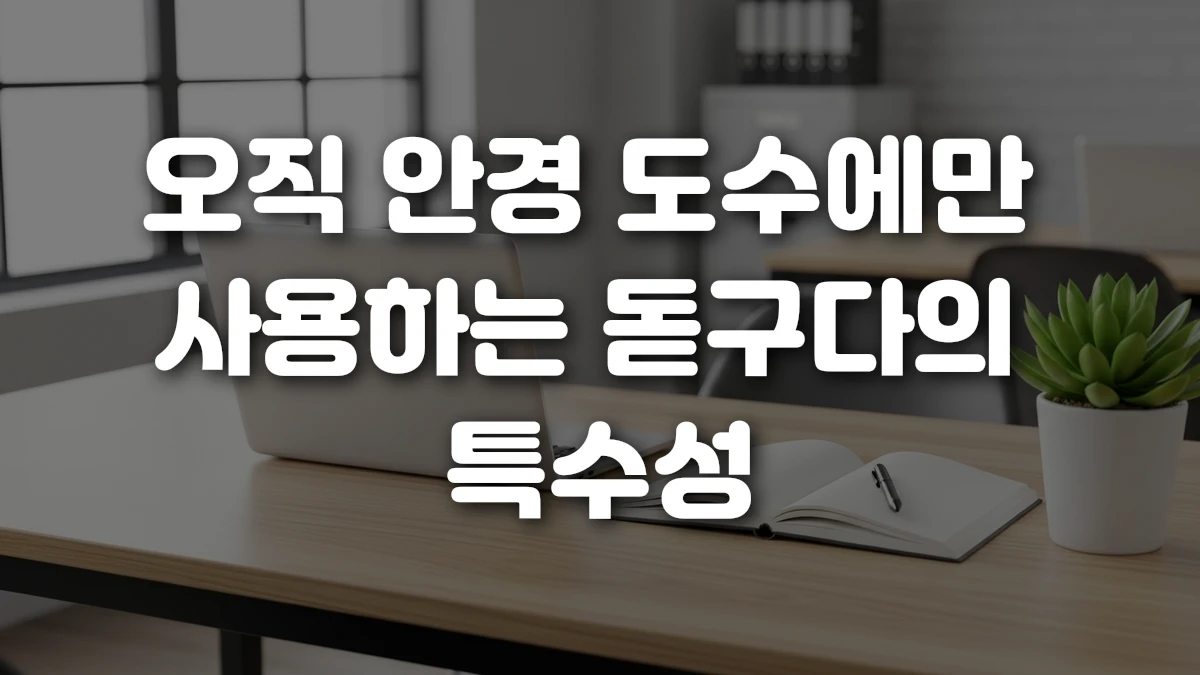 오직 안경 도수에만 사용하는 돋구다의 특수성