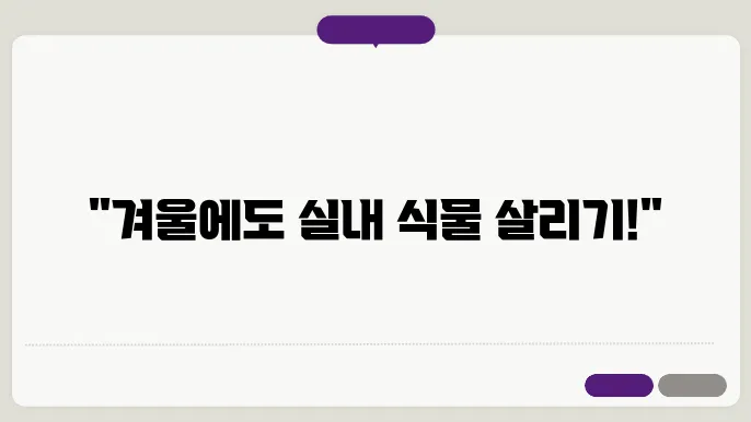 겨울철 실내 식물 관리 팁