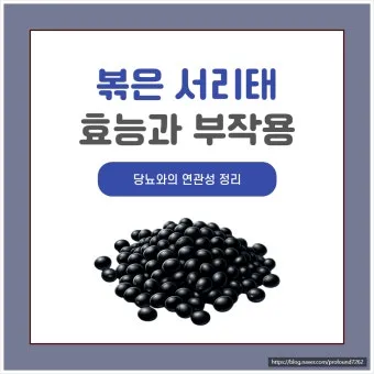 서리태 효능 콩물 만드는방법 수확시기 서리태콩 정보_16