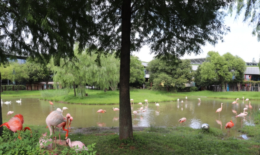 순천만국가정원