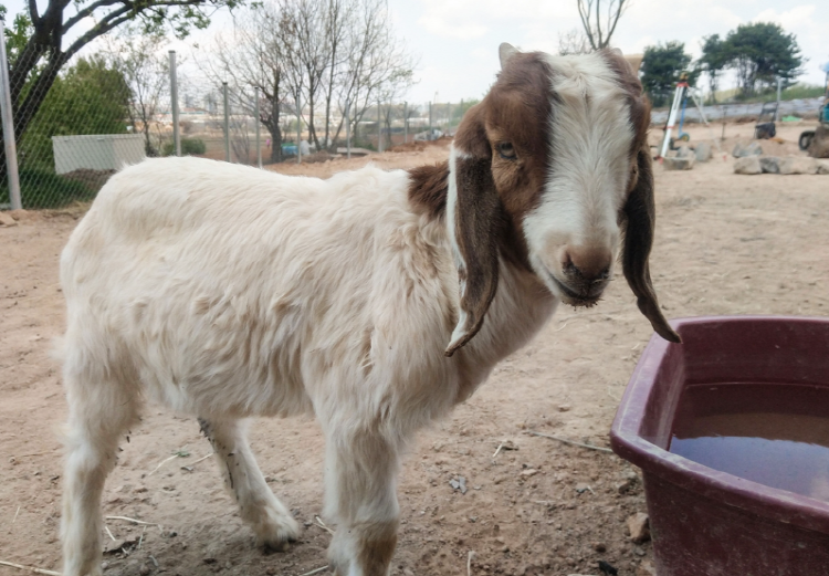 파주 퍼스트가든