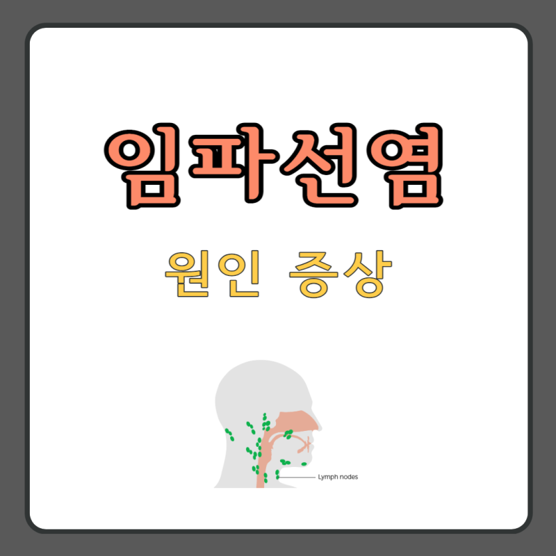 임파선 원인 증상 치료하기 면역력 기르기 알아봐요