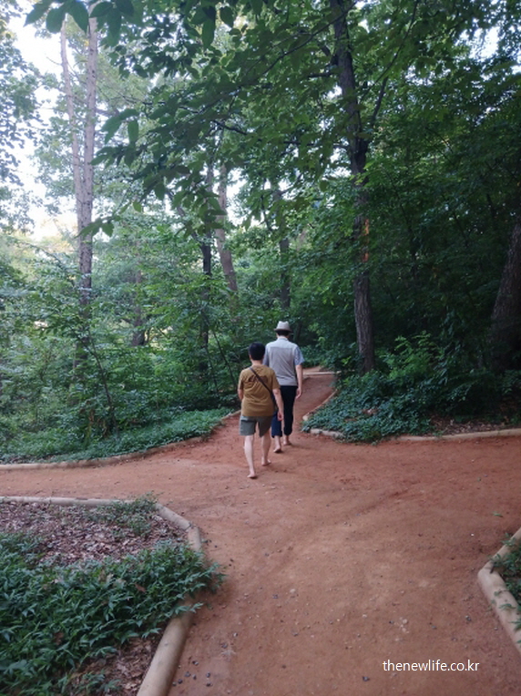 서울 맨발 걷기 좋은 곳, 울창한 숲속 흙길을 맨발로 걷는 두 사람의 모습