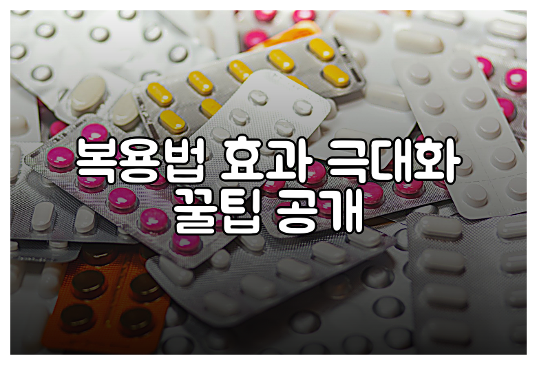 복용법 효과 극대화 꿀팁 공개