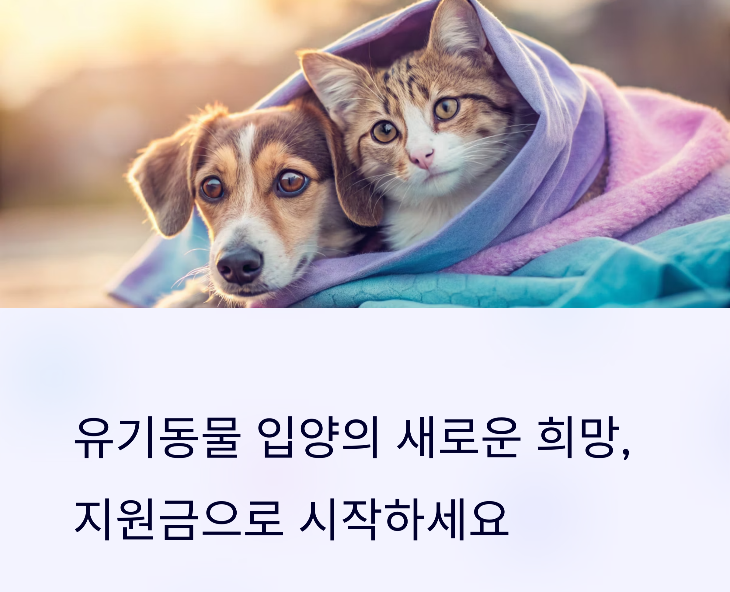 유기동물 입양 지원금 제도 관련 사진