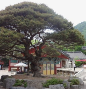 부처님오신날사찰