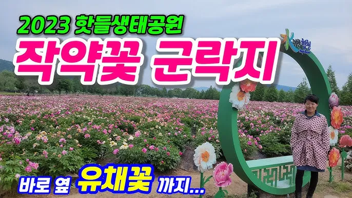 핫들생태공원 합천 산청 진달래축제_6