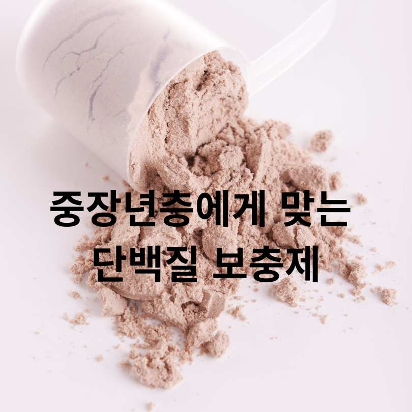 60대 단백질 보충제 추천! 