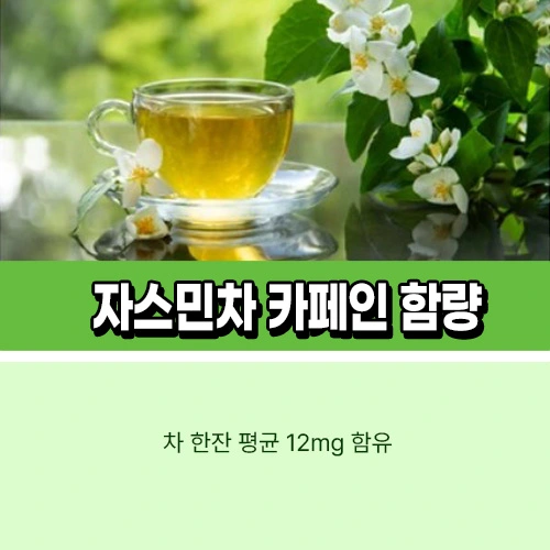 자스민차 카페인