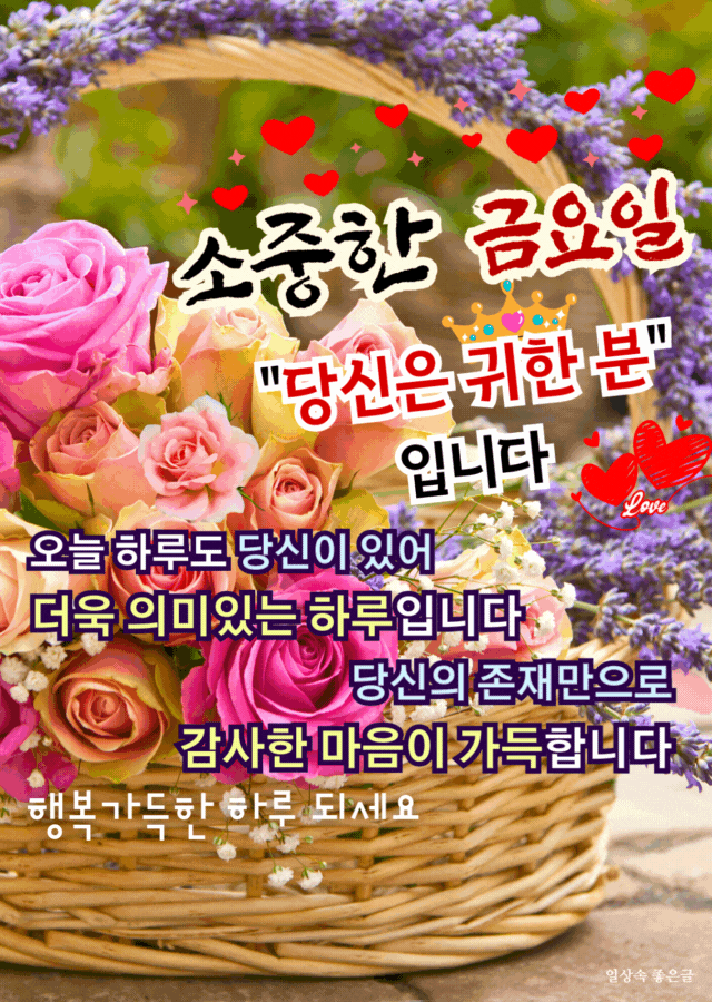 꽃바구니와 함께 전하는 따뜻한 금요일 메시지