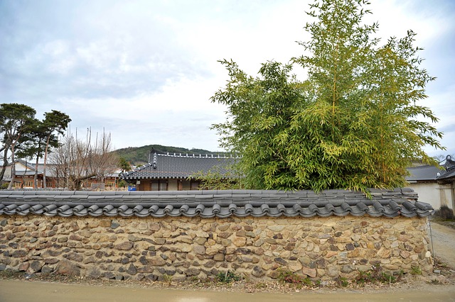 주일 대표 기도문 1월 마지막 주