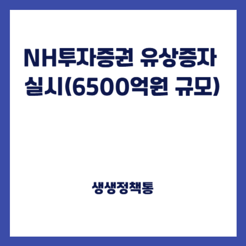 NH투자증권 유상증자 실시(6500억원 규모)