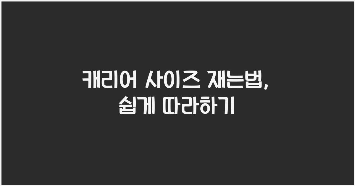 캐리어 사이즈 재는법