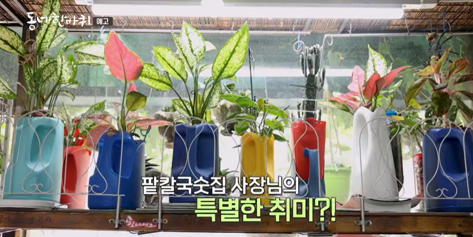 동네한바퀴 동작구 팥칼국수 팥요리