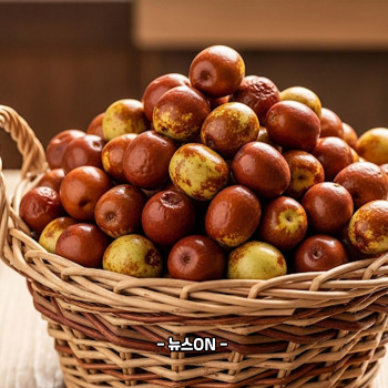 사과대추 말리기