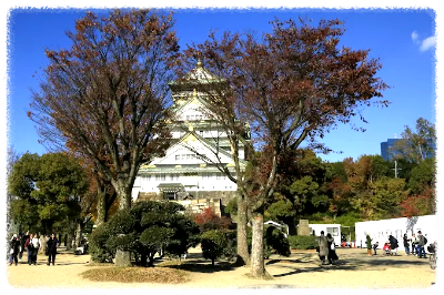 자주 묻는 질문 (Q&A)