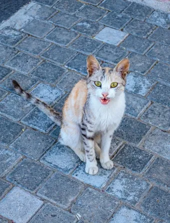 튀르키예 안탈리아 9월 날씨와 옷차림 정리_22