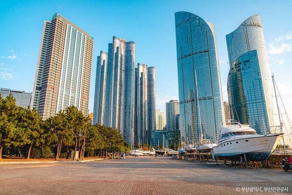 부산 수영만 요트경기장