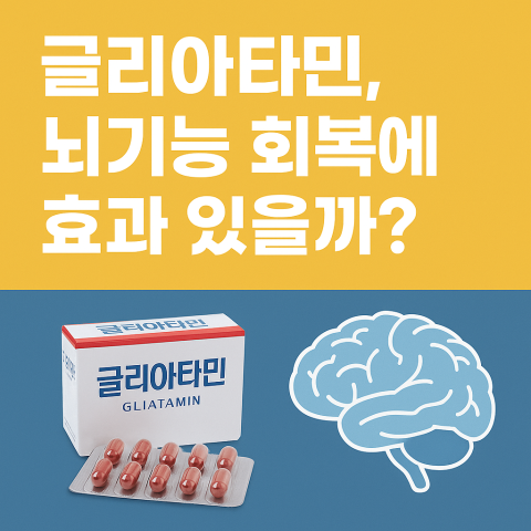 글리아타민, 뇌기능 회복에 효과 있을까?