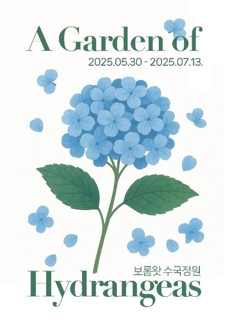 2025 보롬왓 수국정원 축제! 제주에서 만나는 수국 명소(5.30~7.13)