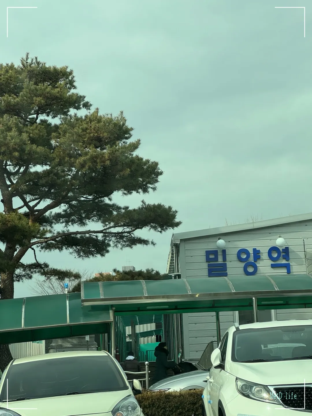 밀양역-밀양역-시골-자연-정통-힐링-나무-자동차