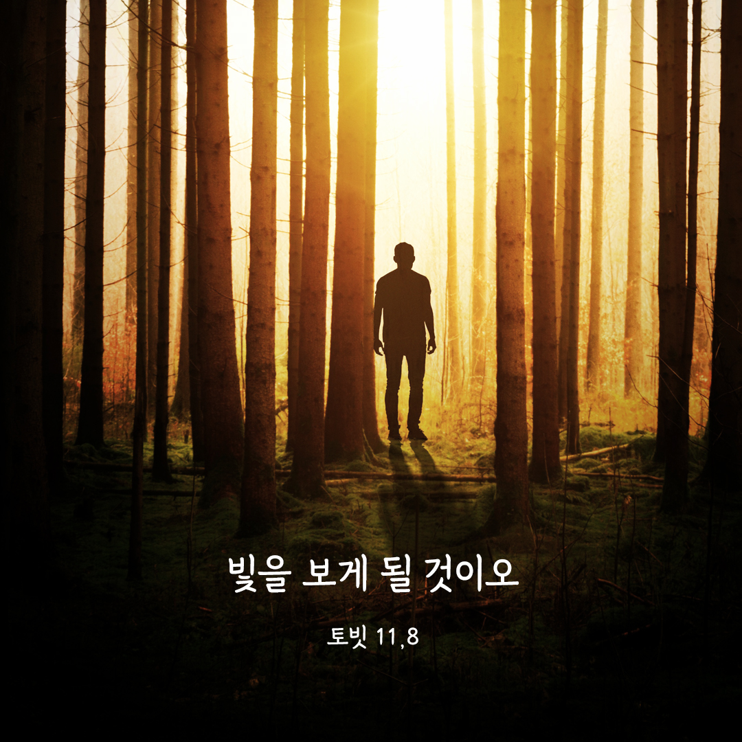 빛을 보게 될 것이오. (토빗 11&#44;8) 토빗기 성경 말씀 카드 이미지 다운로드