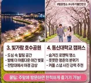 나주 벚꽃