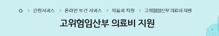 19대 고위험 임신질환
