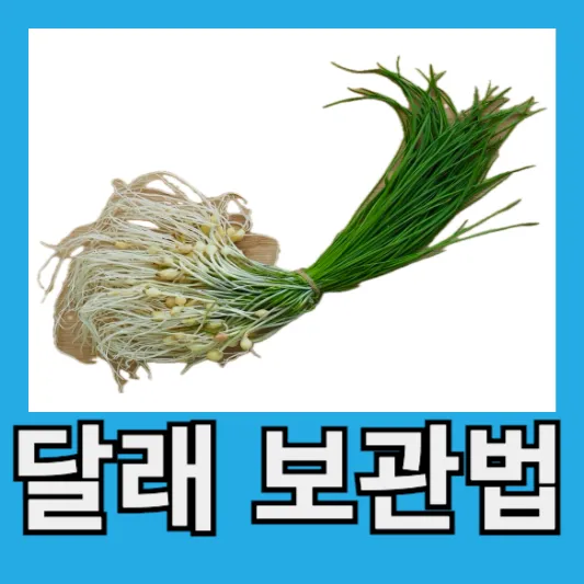 달래 보관방법