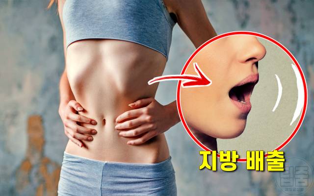 뱃살 지방태우는 차 해독주스 레시피 5