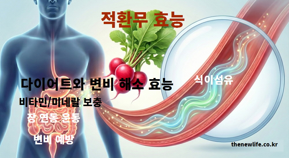 적환무 효능 중 다이어트와 변비 해소에 도움을 주는 식이섬유와 장 연동 운동 작용을 설명하는 인포그래픽
