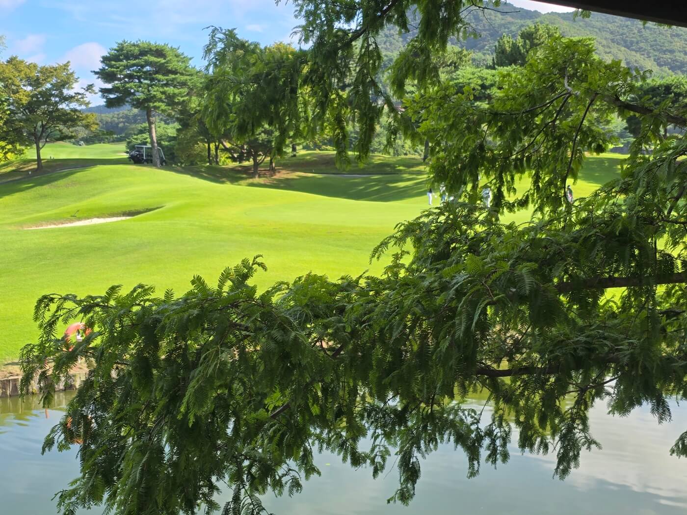 동부산 cc 사진10