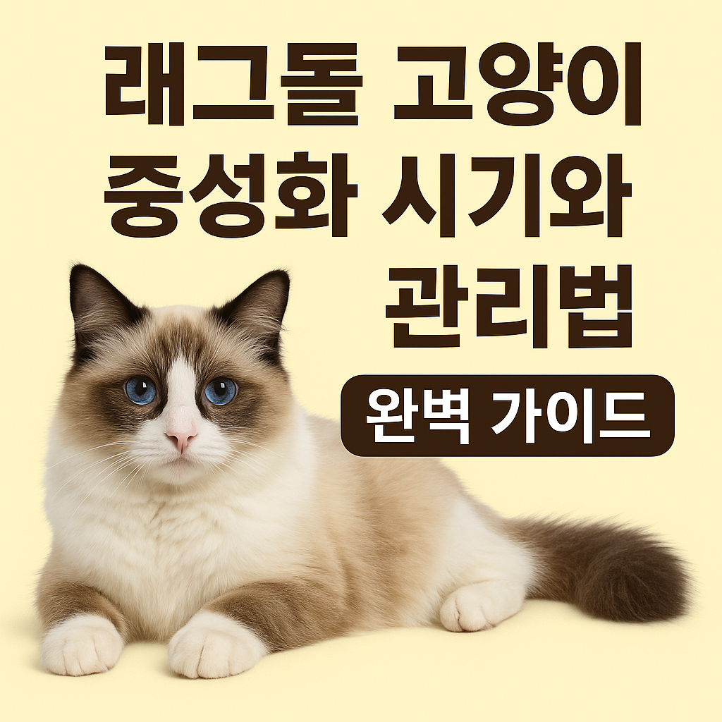 래그돌 고양이