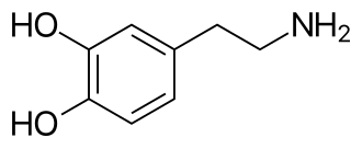 도파민 이름