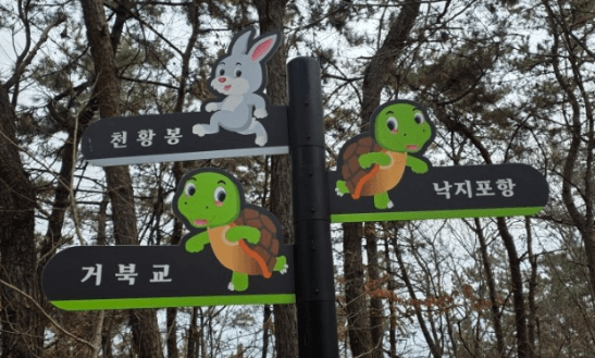 사천 비토섬 거북교