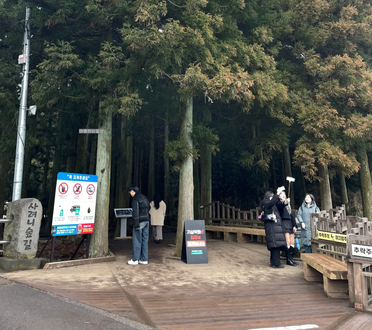 비오는날-제주-겨울에-가볼만한곳-사려니숲-무장애나눔길-위치-산책로-소요시간