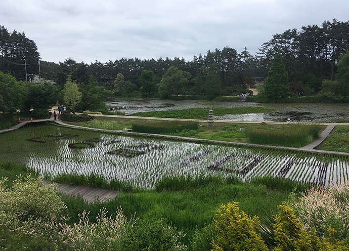 논-위-민병갈100-글씨