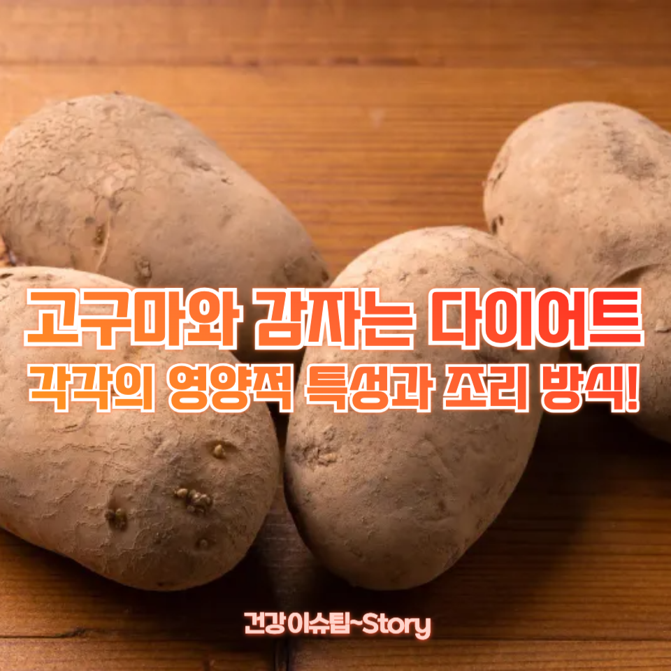 고구마와 감자는 다이어트