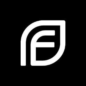 핀시아(FNSA) 코인의 개념 방식 특징 투자전망