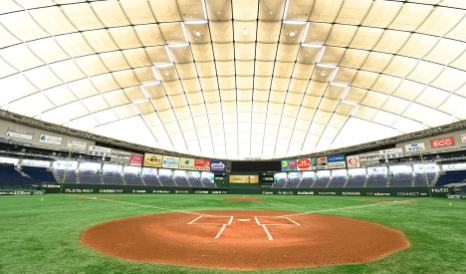 K베이스볼 시리즈