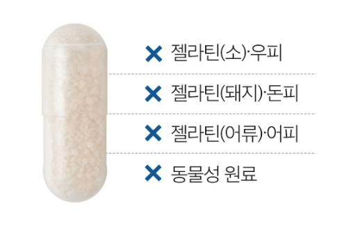 포스파티딜세린 효능 섭취방법 여에스더 뇌영양제 추천(포스타디딜세린)