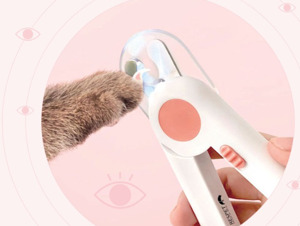 강아지 발톱깍는 방법/출처:쿠팡