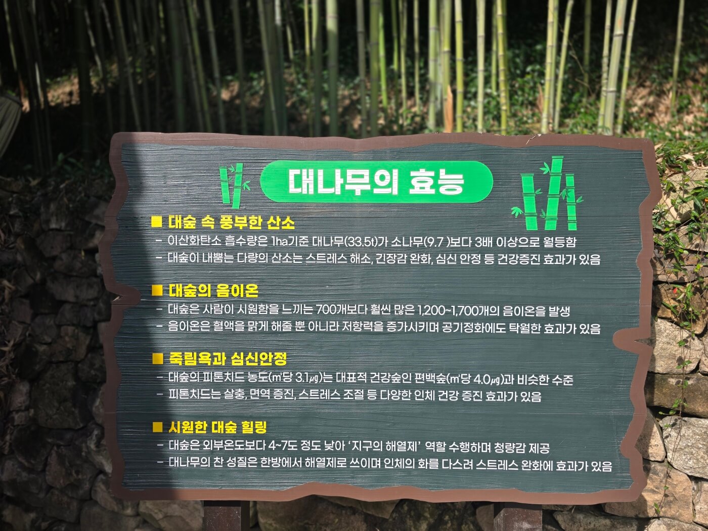 이정표-대나무의효능