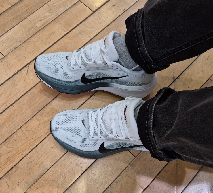 데일리 러닝화 추천 페가수스 42