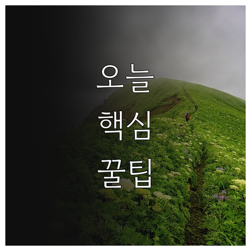 2025 양천구 1인 가구 복지 사각..